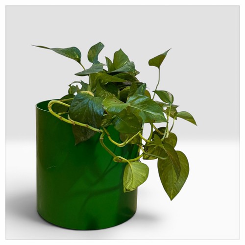 Portavasi vintage kartell - vintage,